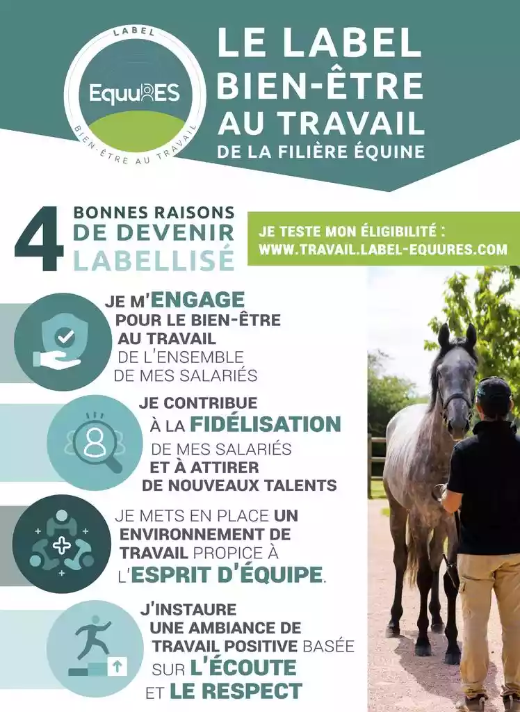 EQUUREBET231201-insertionJDG.jpg