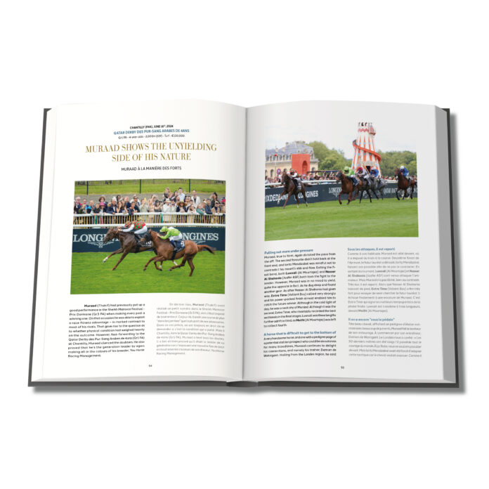 Arabian Yearbook 2025 - Image 4